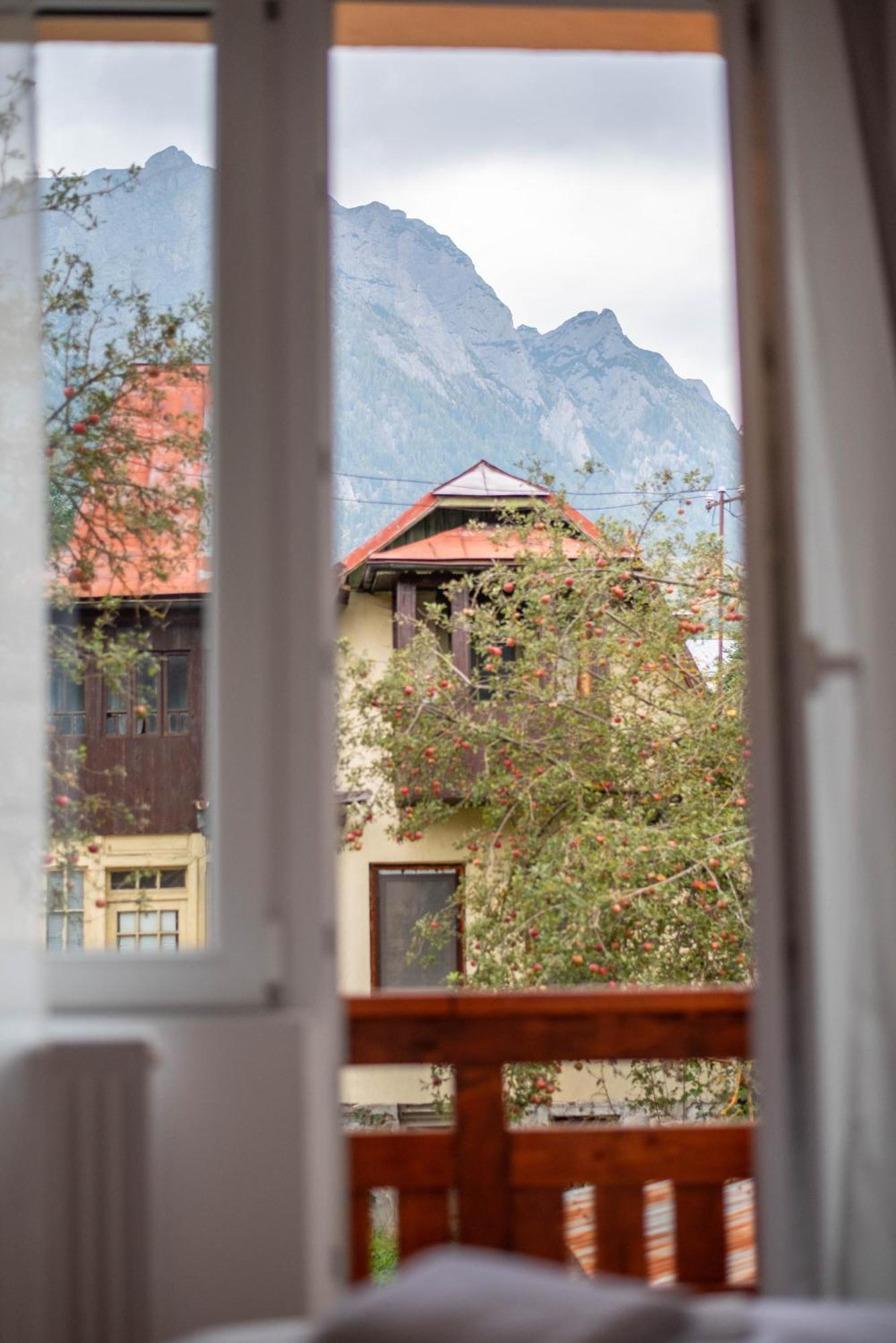 Casa Bucegi Buşteni Εξωτερικό φωτογραφία